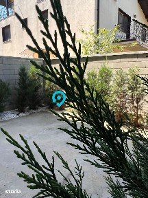 Eleganta,confort si exclusivitate-Casa pe care o vei numi 