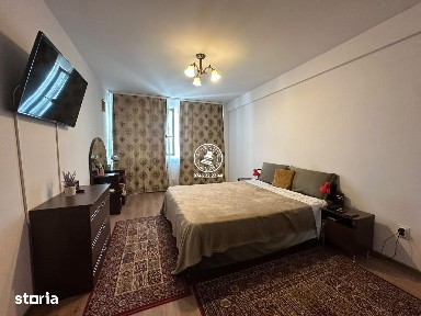 Reprezentare exclusiva! Apartament 1 camera, 45 mp - Valea Lupului Ro