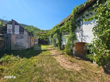 Casa cu anexe, 180 mp, teren intravilan 1.249 mp - Laz, Sasciori