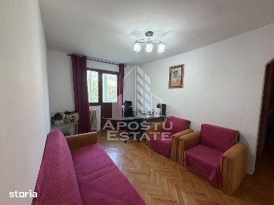 Cetate, Timisoara, Timis