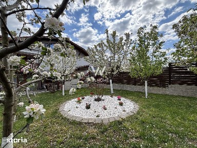 Casa 5 camere pretabila pentru locuit si sediu firma - C. Arhitectilor