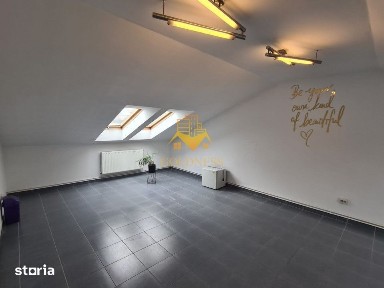 Spatiu de birou, depozitare, zona Centrala, Platinia, Motilor