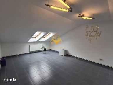 Spatiu de birou, depozitare, zona Centrala, Platinia, Motilor