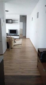 Timis, Timisoara