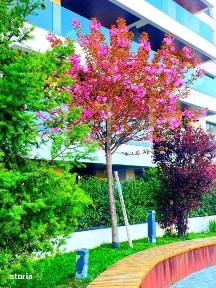 Soseaua Pipera, Pipera, Sectorul 2, Bucuresti