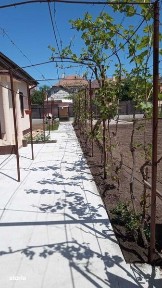 Vand casa plus teren Tecuci