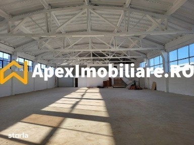 Hala Malu Rosu, Vest Ploiesti Xenia - 1800 mp, TIR, Parcare 50 Auto