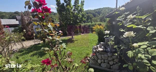 Casa 5 camere de vanzare in Mislea