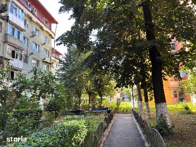 Constantin Brancusi, Ramnicu Valcea, Valcea