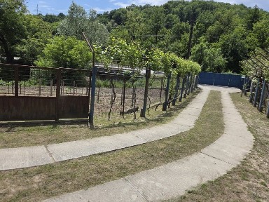 De vânzare casă cu teren