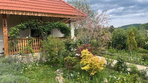 Bucuresti - Ilfov, Bucuresti, Sectorul 2