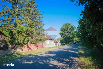 Casă de vânzare cu 4 camere - Santăul Mare, comuna Borș, județul Bihor