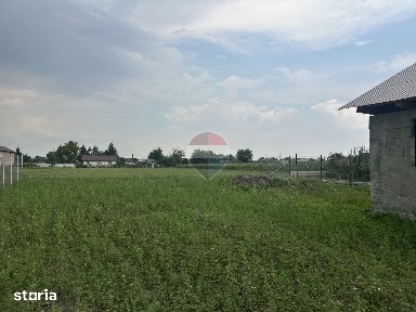 Casă nouă cu 3 camere | Slobozia (Roznov) | Oportunitate de investiție