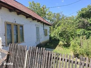 Casa traditionala de vinzare