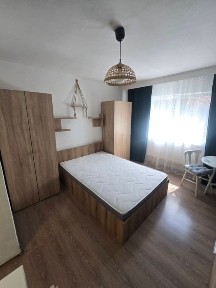 Timis, Timisoara