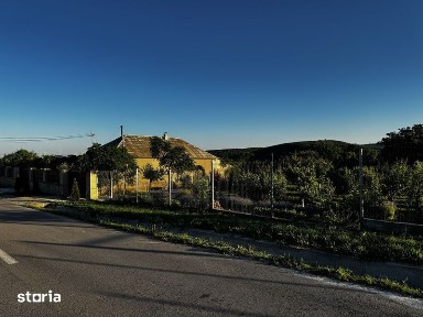 Se vinde casa la tara