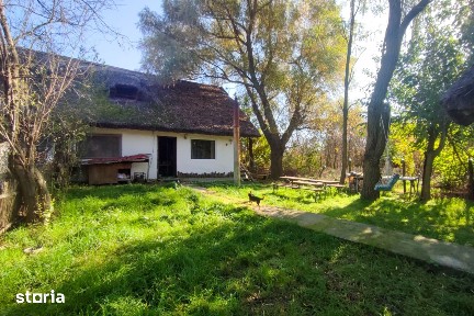 Casa de vacanta, in Delta, pe Chilia, ieșire la Dunăre, utilitati, CF