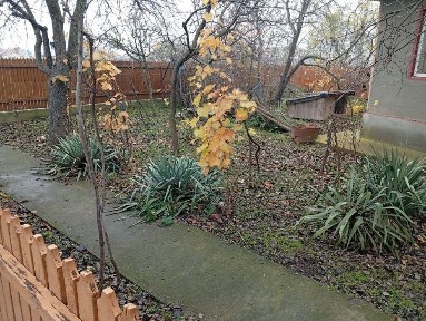 Tulcea, Ceamurlia de Jos