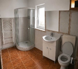 Casa cu gradina si vie de vanzare in Runcu, GJ