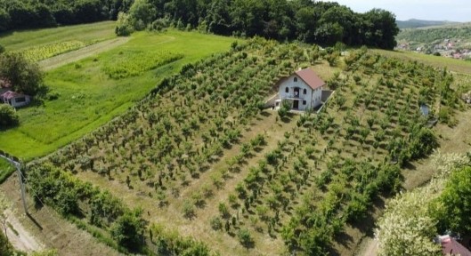 Casa de vânzare Grebenisul de Campie