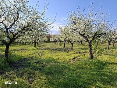 CASA, Livada Samburesti, langa Dragasani, apoape de Pitesti