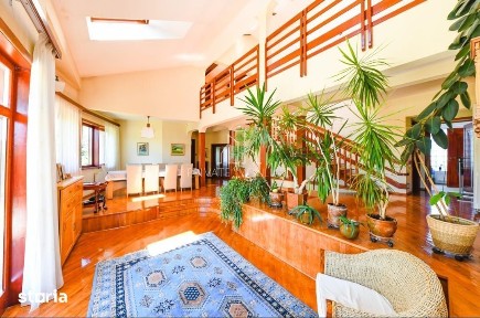 Vila/Proprietate Speciala, 500mp utili, 3300mp teren, Sangeorgiu de Ms