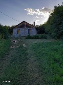 Vand casa la Tara