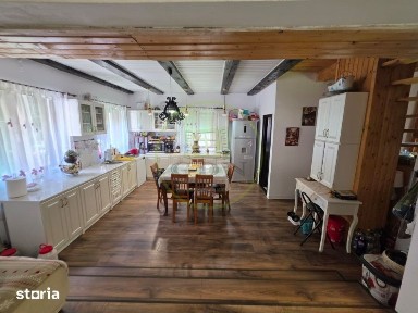 PROPRIETATE EXTRAORDINARĂ- LOTRIOARA, JUDEȚUL SIBIU!