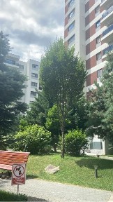 3 camere inchiriere+ parcare inclusa, direct propietar !