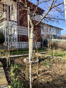 Casă cu etaj-costrucție din cărămidă roșie