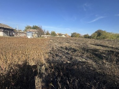 Teren 5.000 mp cu deschidere 74 m - ideal investiție, hale, depozit, fermă - Vânători, Mehedinți”