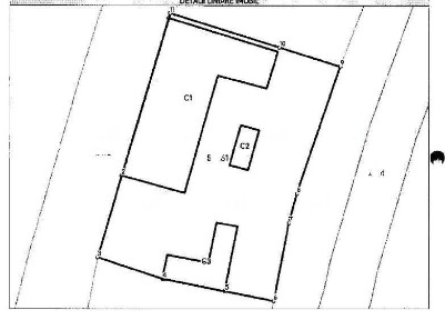 Casa si teren-Sânnicolau de Beiuș, com. Șoimi jud. Bihor R3304890