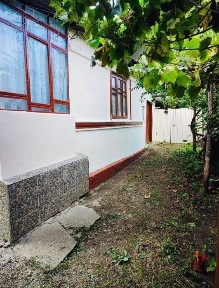 Bacau, Tatarasti