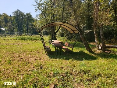 Codlea, Brasov