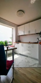 Timis, Timisoara