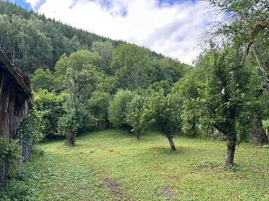 Vrancea, Coza