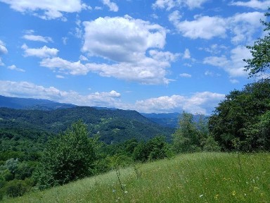 Vrancea, Valcani