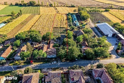 Dorobanti, Arad