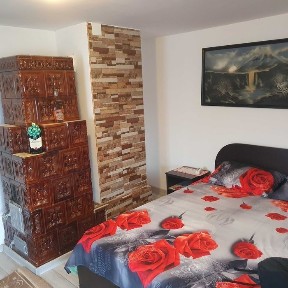 De vanzare,casa la tara