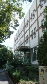 Imobil de vanzare