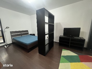 400euro Nerva-Unirii-Goga, garsoniera decomandata, spatioasa, moderna