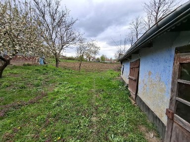 Botosani, Mateieni