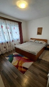Timis, Timisoara