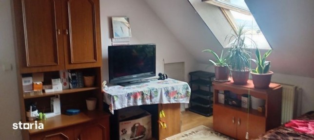 Primesc în chirie o femeie pe termen lung