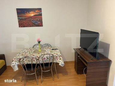 Garsoniera de inchiriat, 28 mp, zona Manastur