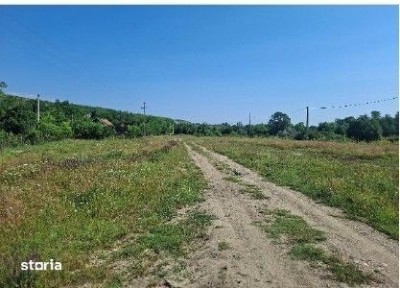 Casa si teren Scortoasa, ID: R3312098