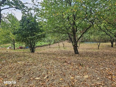 VILA RUSTICA SI TEREN 1220 MP IASI NICOLINA AL. T NECULAI STRUGURILOR