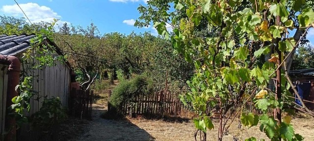 Casâ cu grădină de vânzare