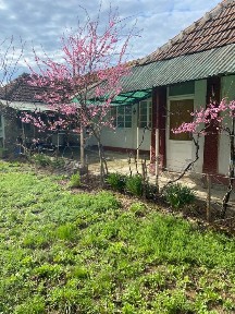 Bihor, Oradea