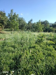 Proprietate de vanzare, 41.16 mp, teren 2.111 mp, zona Sandulesti - Ch